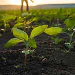 Agriculture